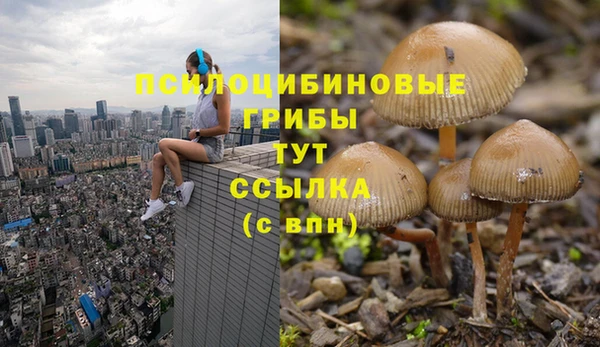 а пвп мука Абинск