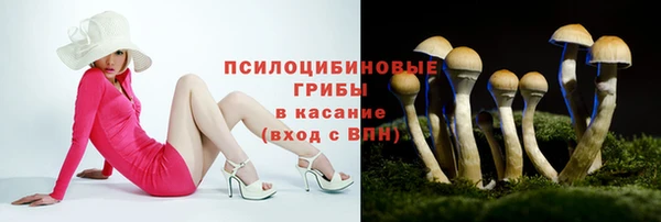 спиды Абаза