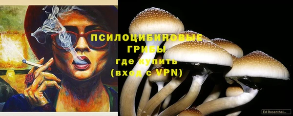 спиды Абдулино