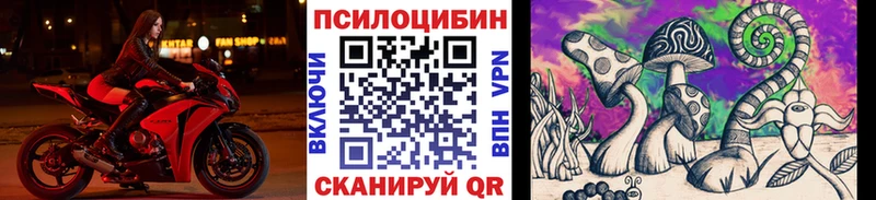магазин    Гусиноозёрск  ОМГ ОМГ зеркало  Галлюциногенные грибы Psilocybine cubensis 